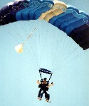 Yaron Canopy.jpg